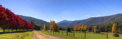 Country Road - Bright - VIC (PBH4 00 13876)